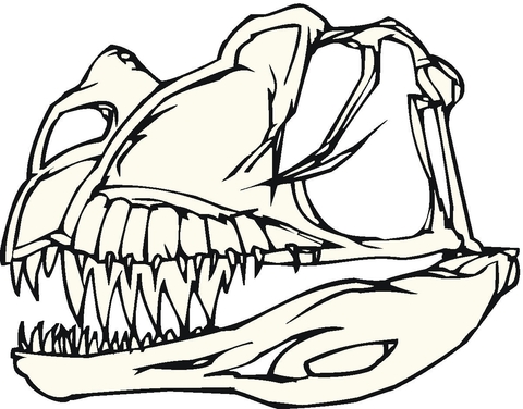 Dinosaur Bones  Coloring Page